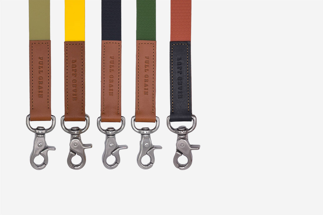 Long Line Dog Leads: How to Choose and Use a 5m, 10m or 15m Line