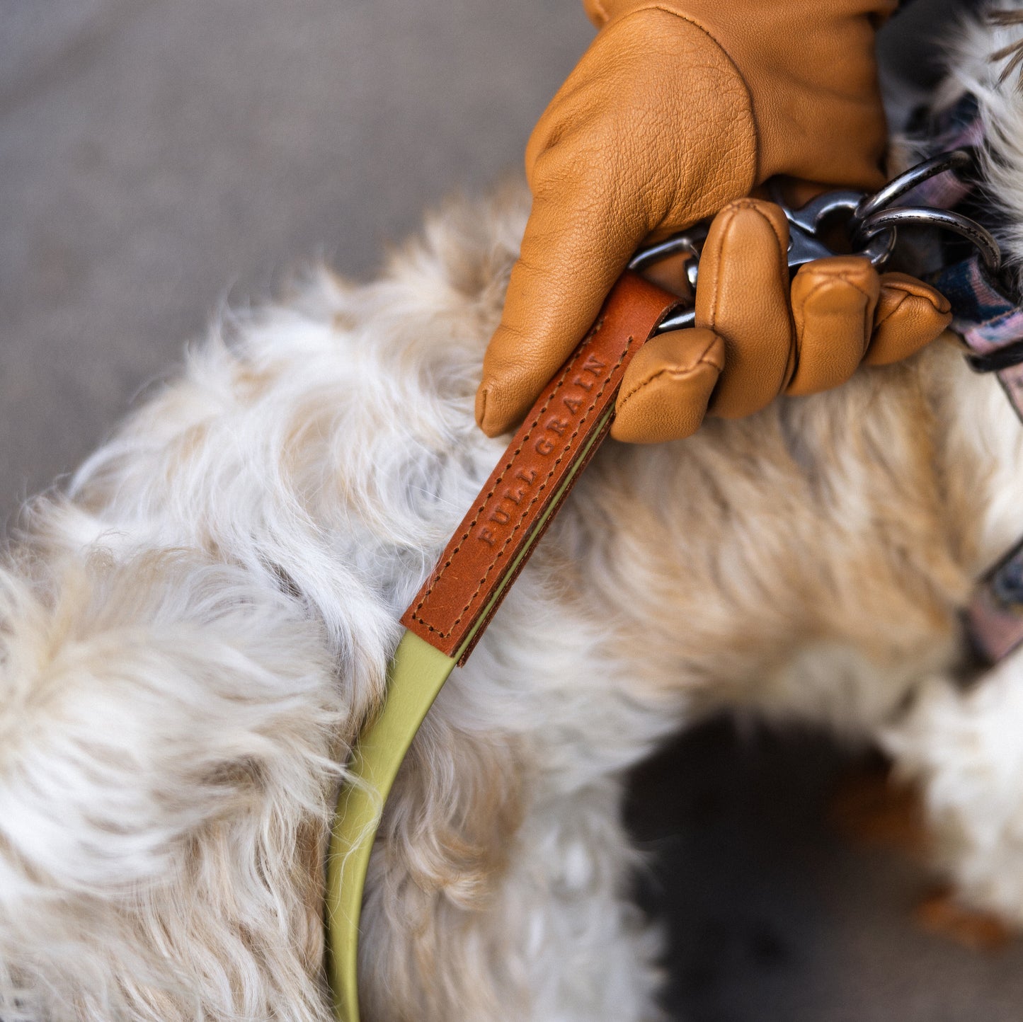 Waterproof Dog Lead – Biothane-Style Adjustable Sling Lead – Handmade UK