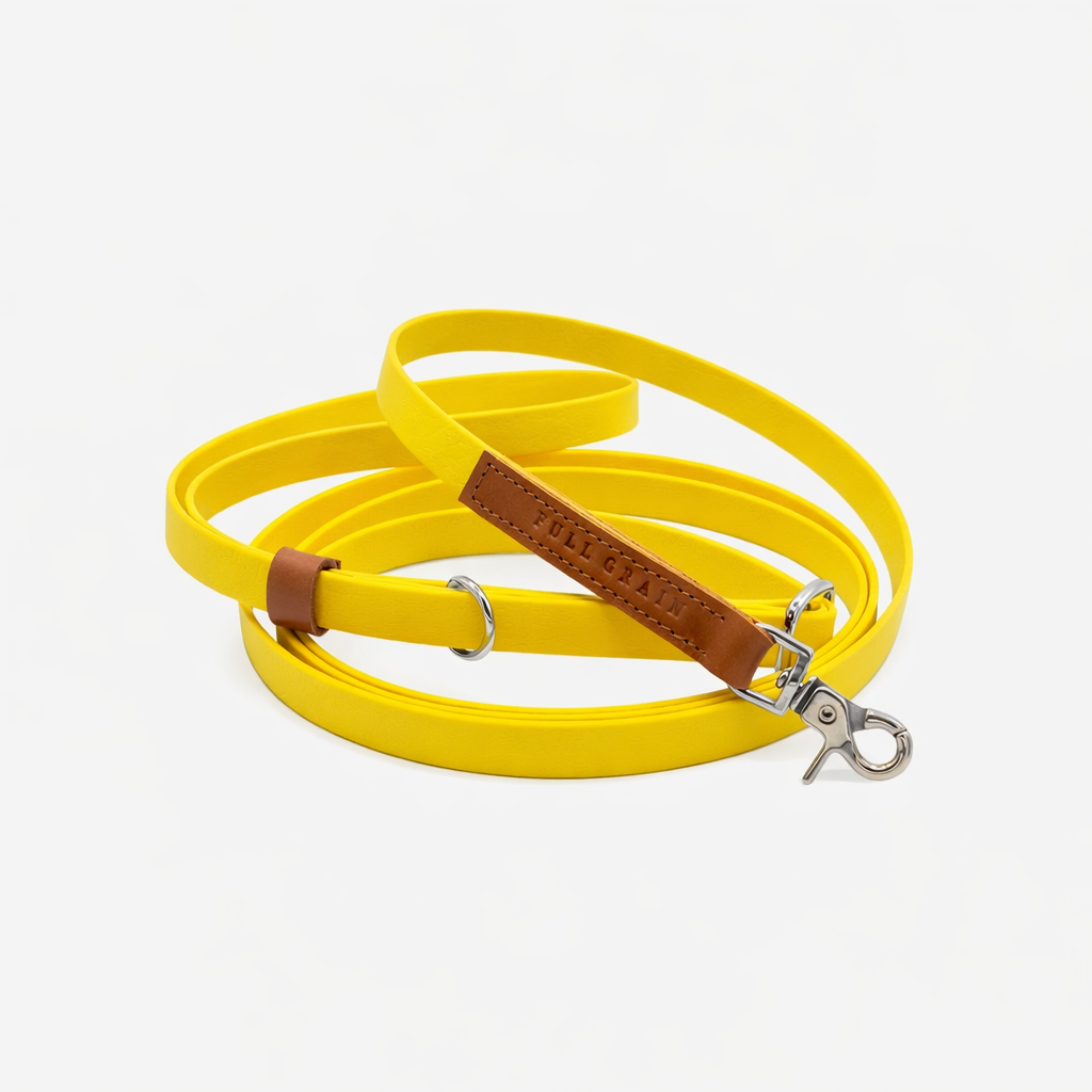 Yellow dog leash with brown leather handle on a white background