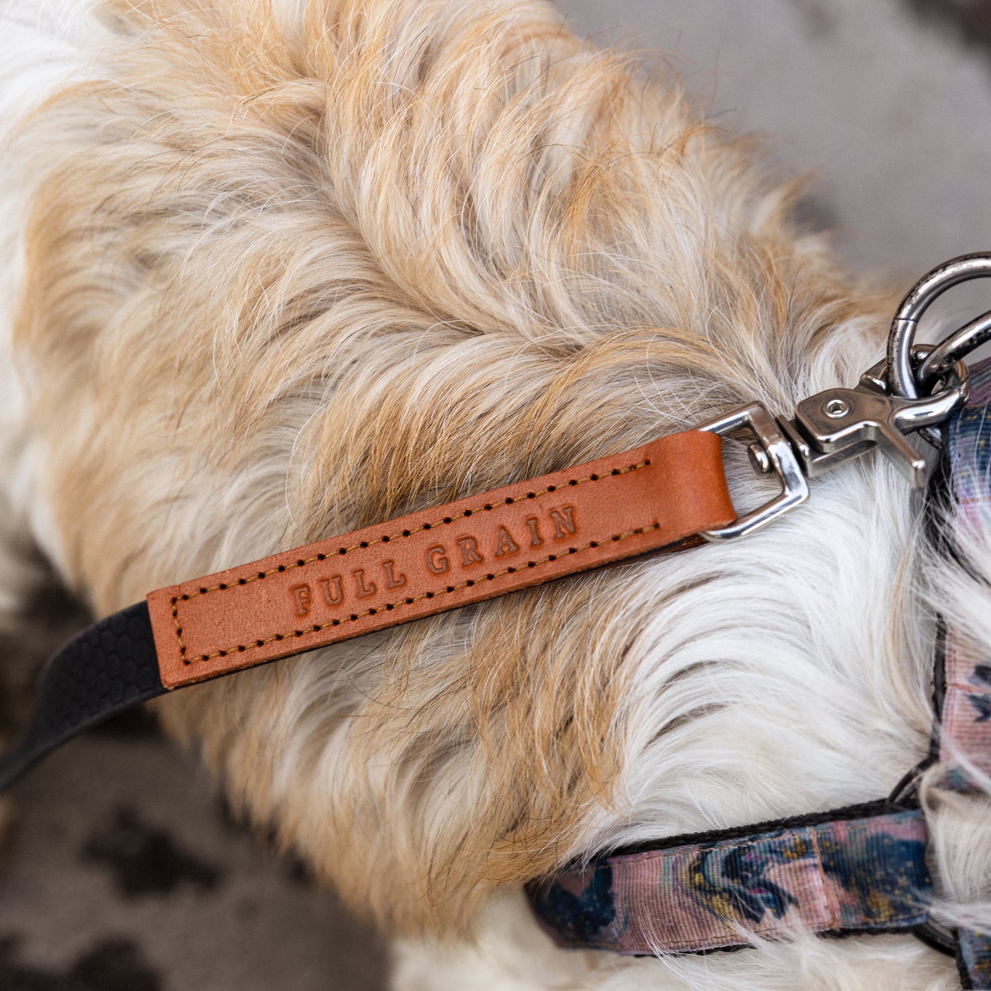 Waterproof Dog Lead – Biothane-Style Adjustable Sling Lead – Handmade UK